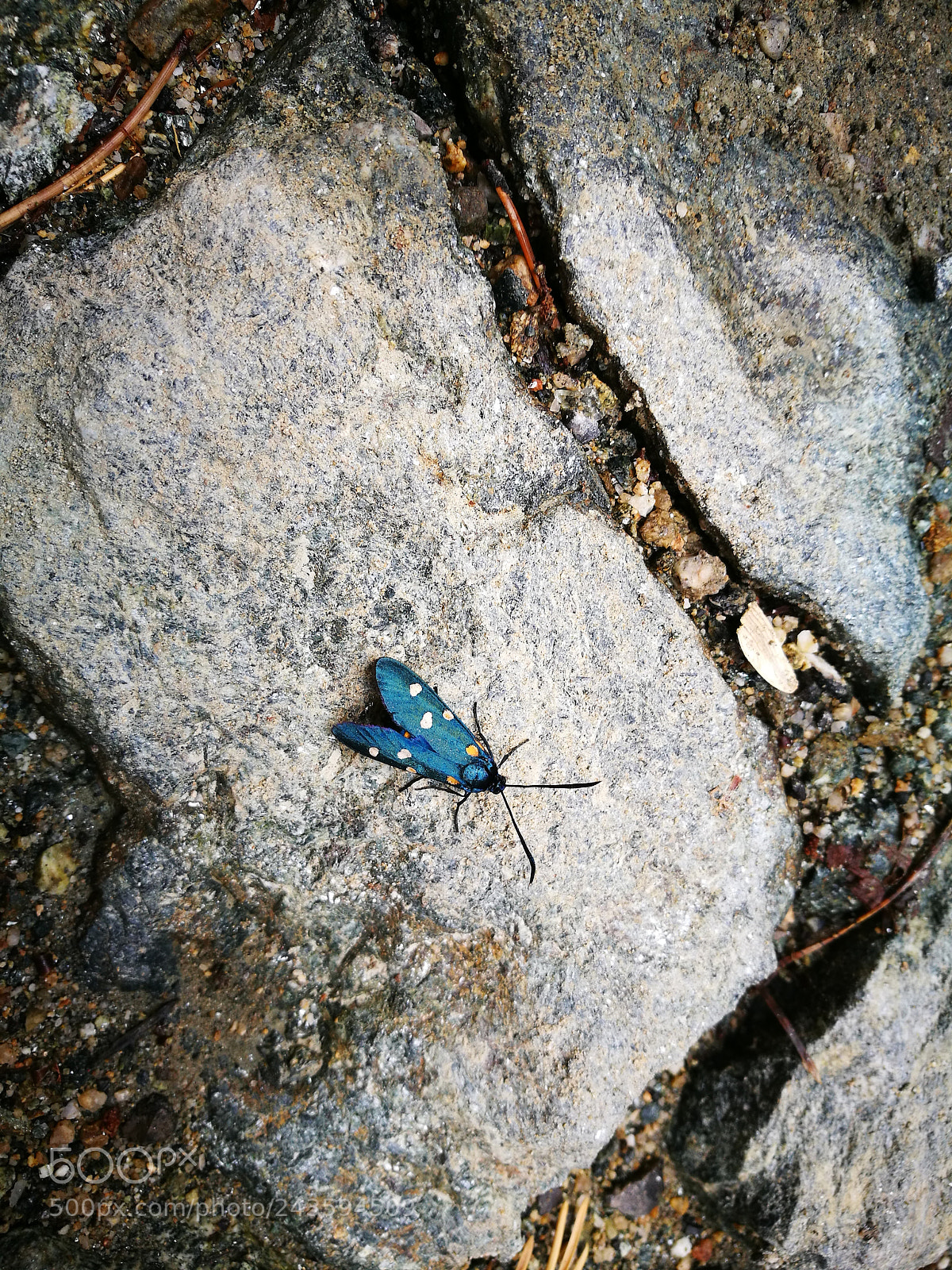 HUAWEI P9 sample photo. Untitled photography