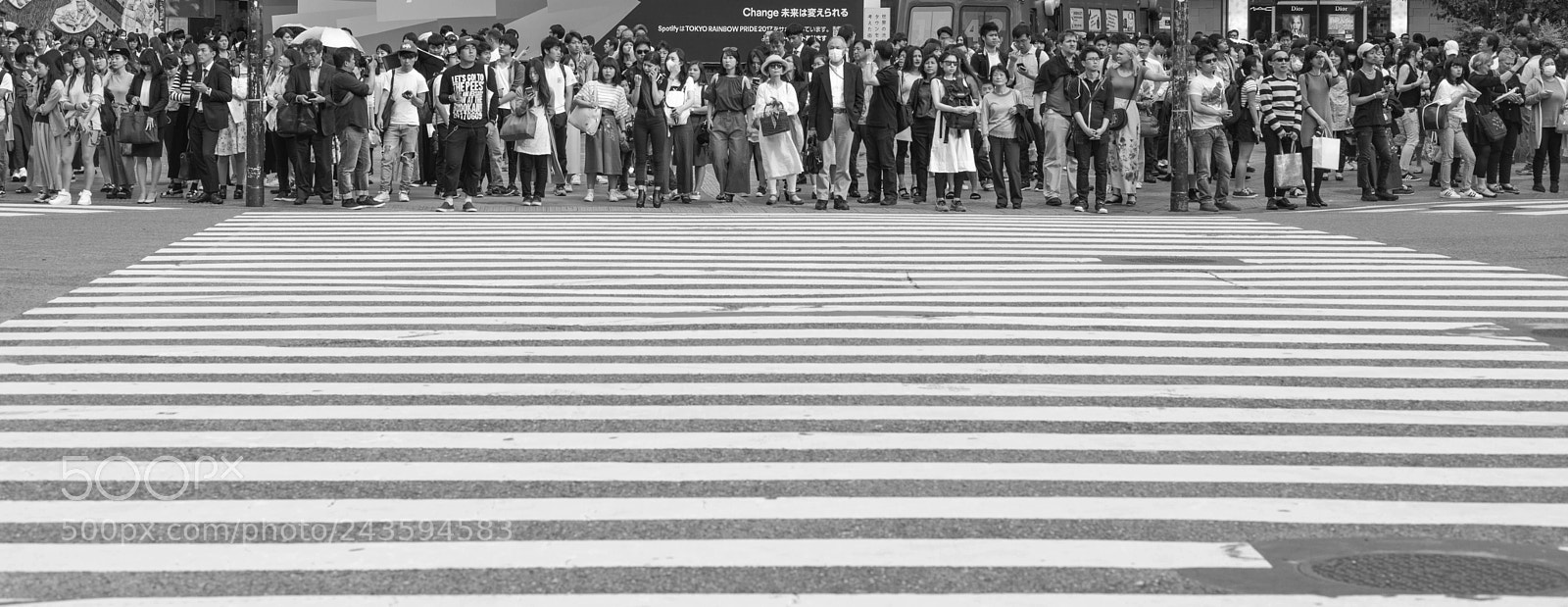 Leica M Monochrom (Typ 246) sample photo. Waiting to cross photography