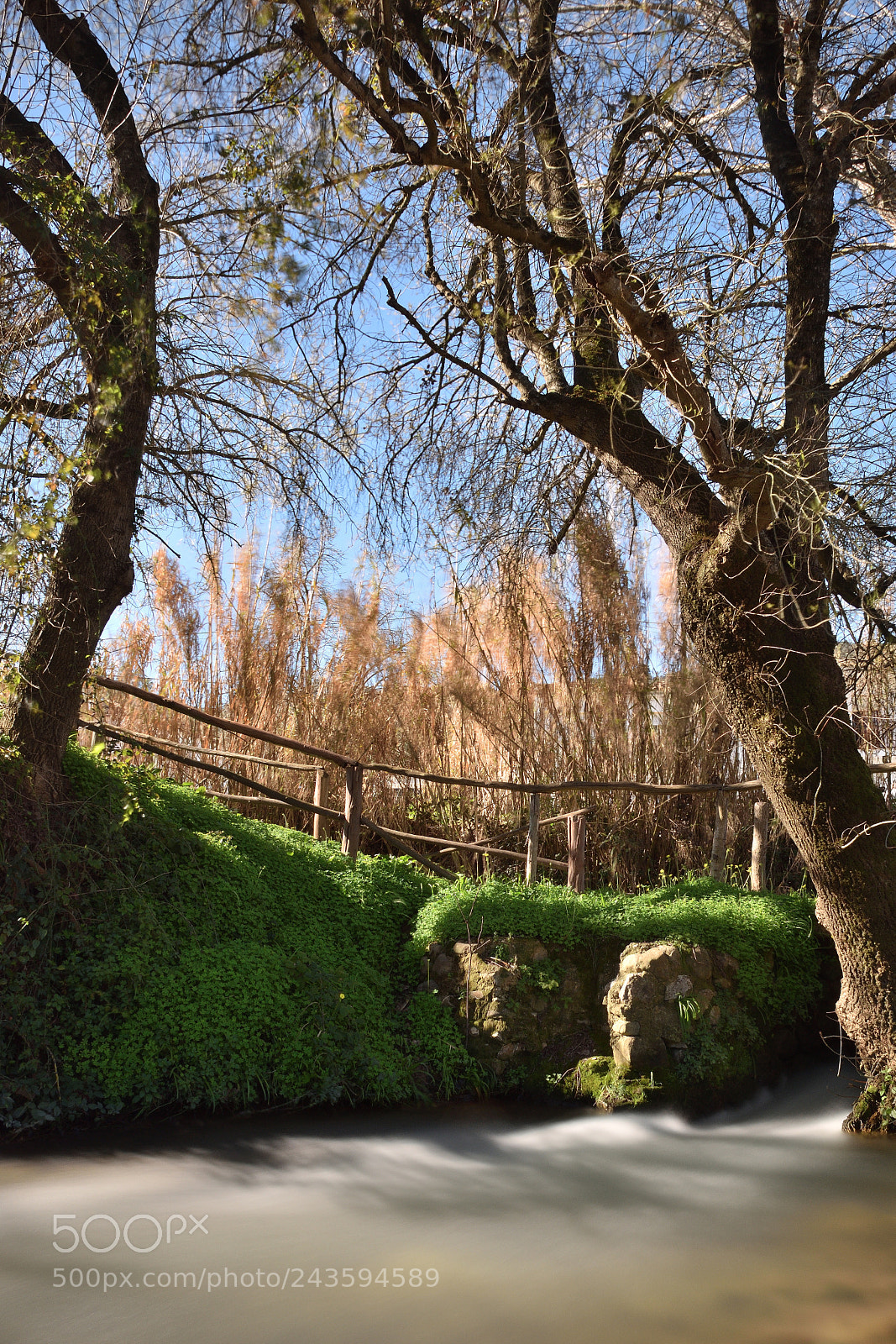 Nikon D5500 sample photo. Cortes de la frontera 1 photography