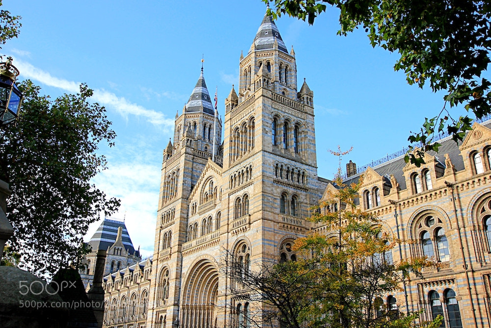 Canon EOS 550D (EOS Rebel T2i / EOS Kiss X4) sample photo. National history museum photography