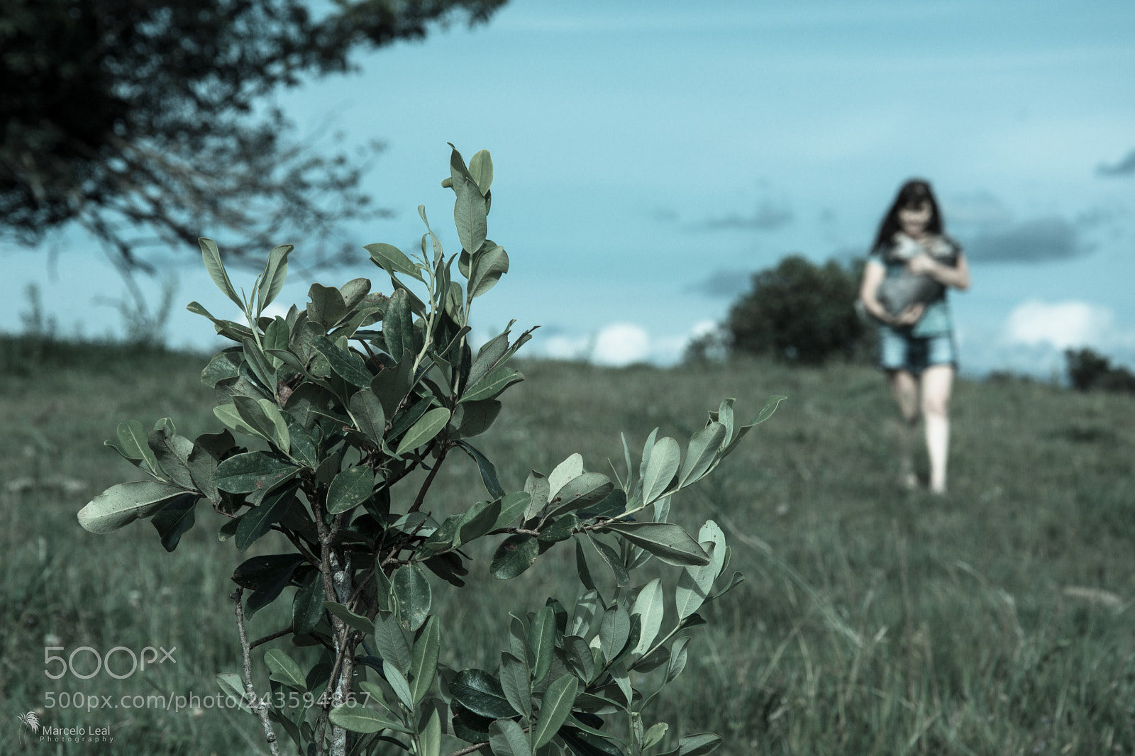 Nikon D7100 sample photo. Fragments of nature - 6 photography