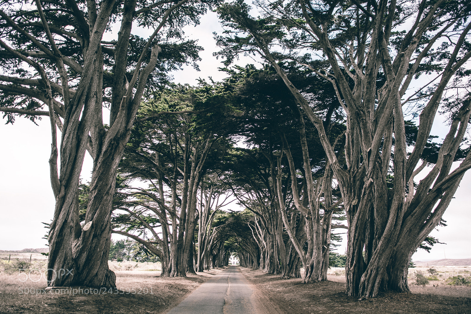 Nikon D7100 sample photo. Where the road takes photography