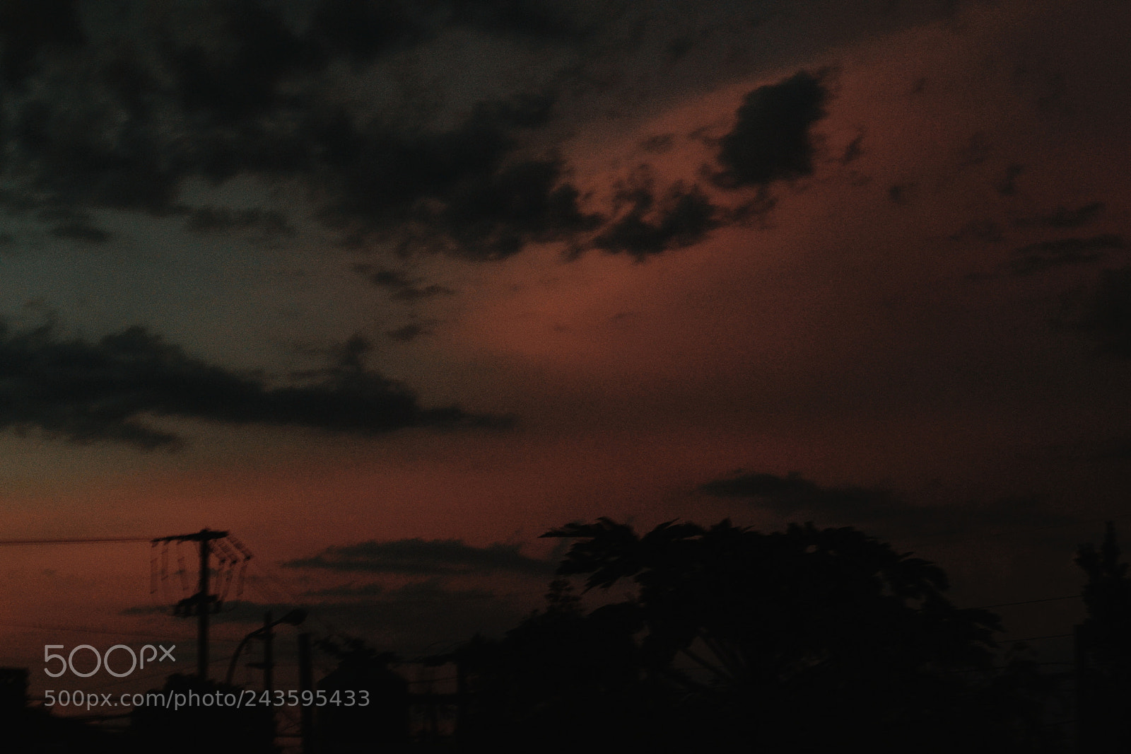 Nikon D3100 sample photo. Untitled photography