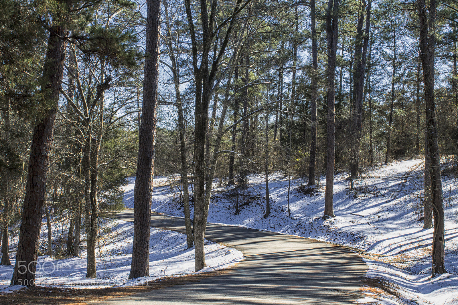 Canon EOS 1100D (EOS Rebel T3 / EOS Kiss X50) sample photo. Snow in the forrest photography