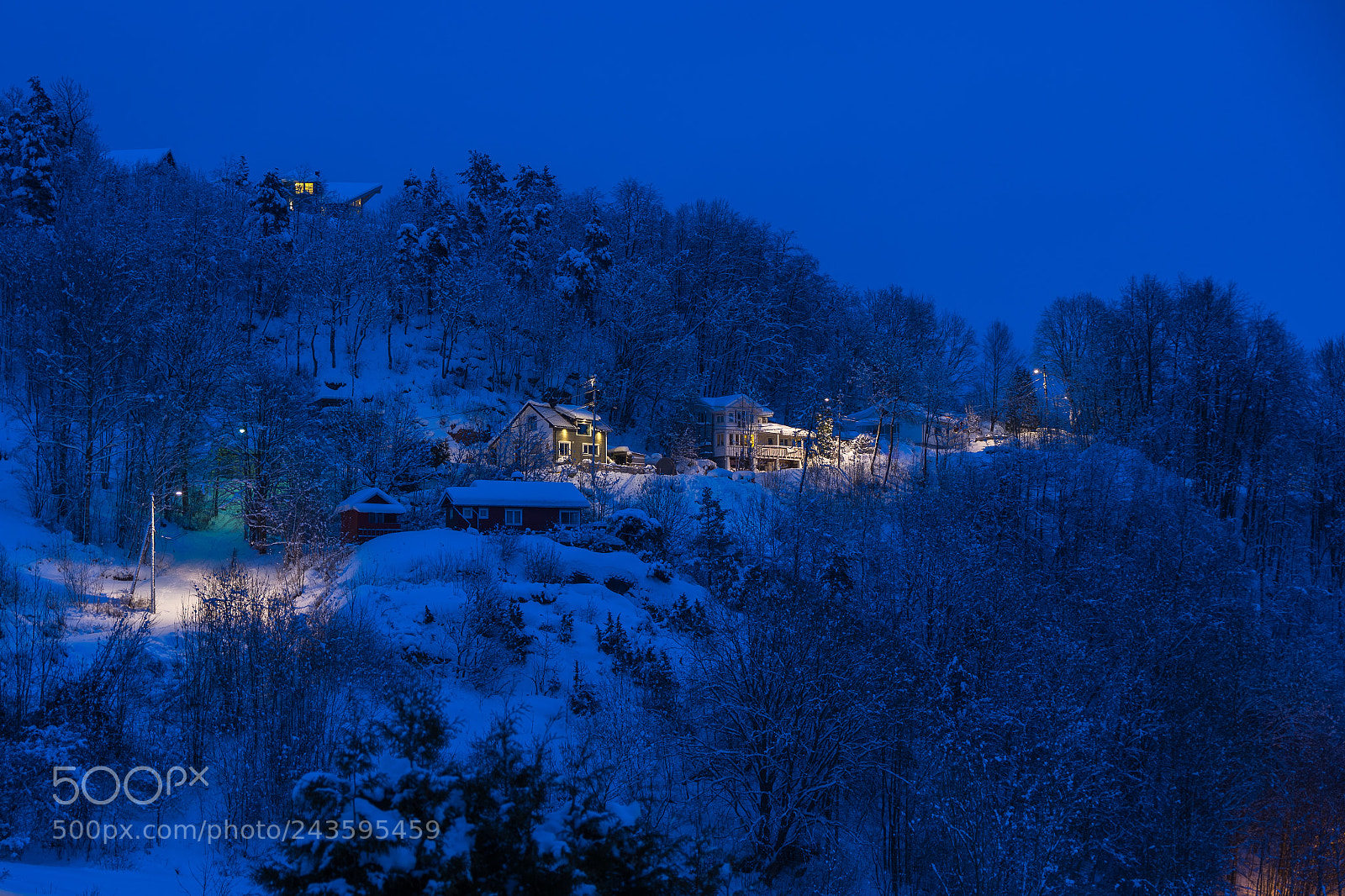 Sony a7 II sample photo. Early winter morning photography