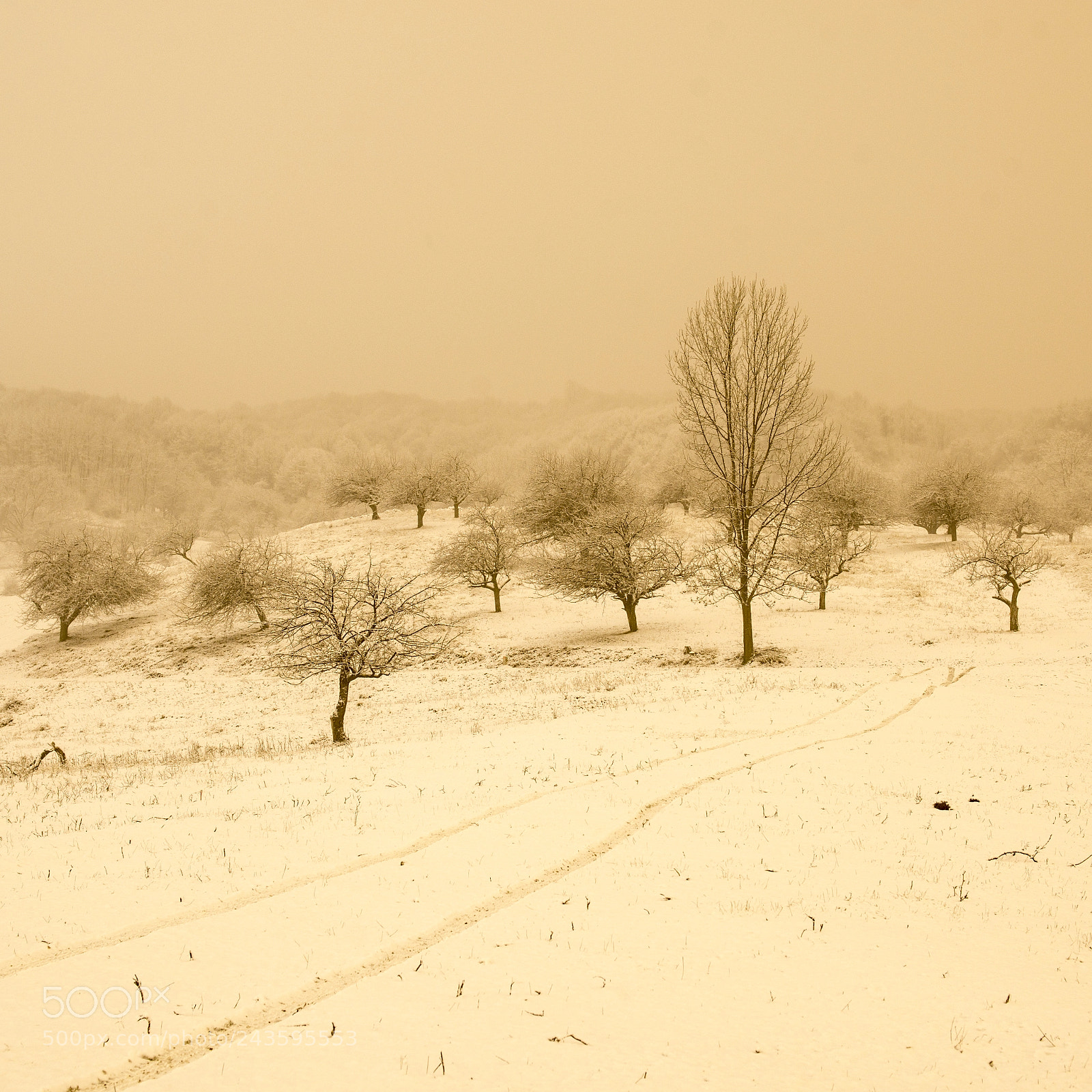 Nikon D800 sample photo. That simply photography