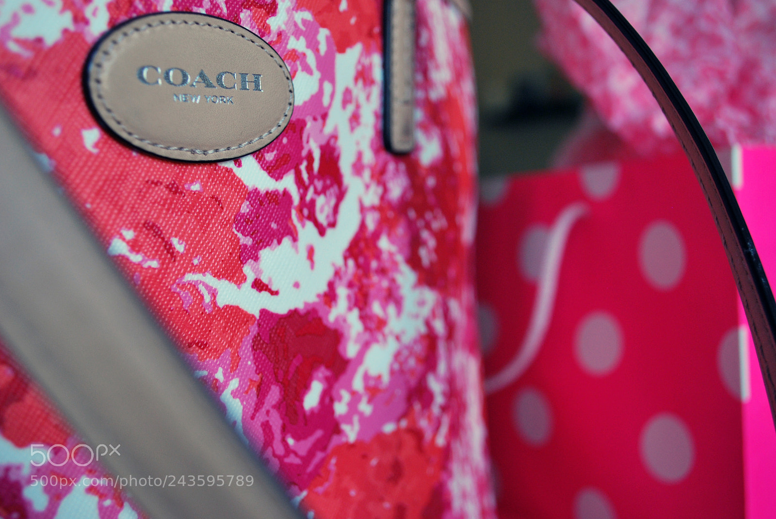 Nikon D60 sample photo. Coach photography
