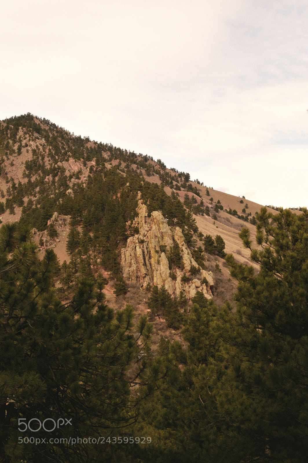 Nikon D3200 sample photo. Red rocks photography