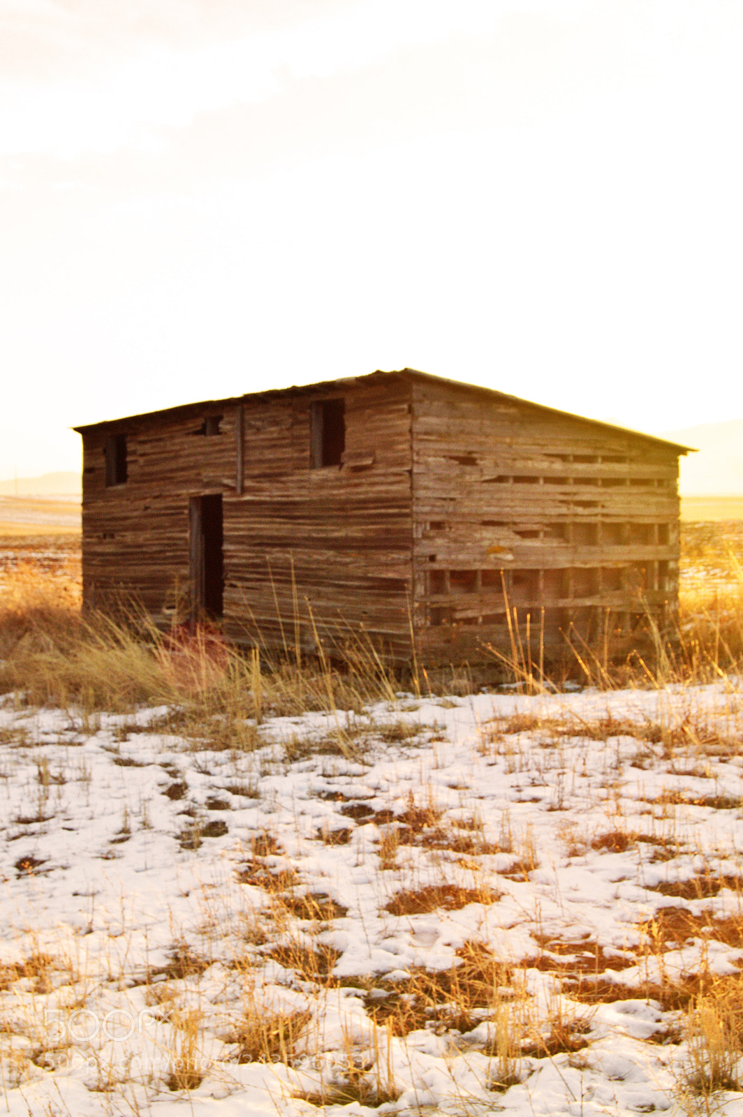 Nikon D3200 sample photo. Lonely shed photography
