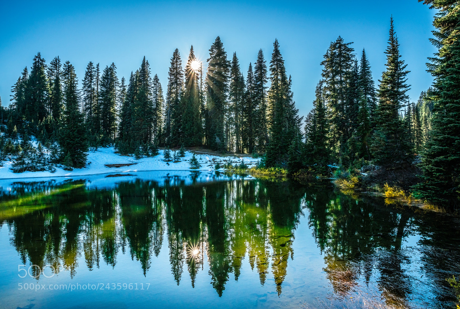 Sony a7R II sample photo. Twin stars photography