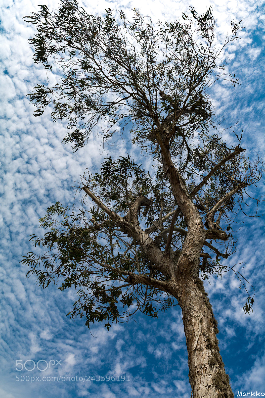 Nikon D7100 sample photo. Blue sky photography