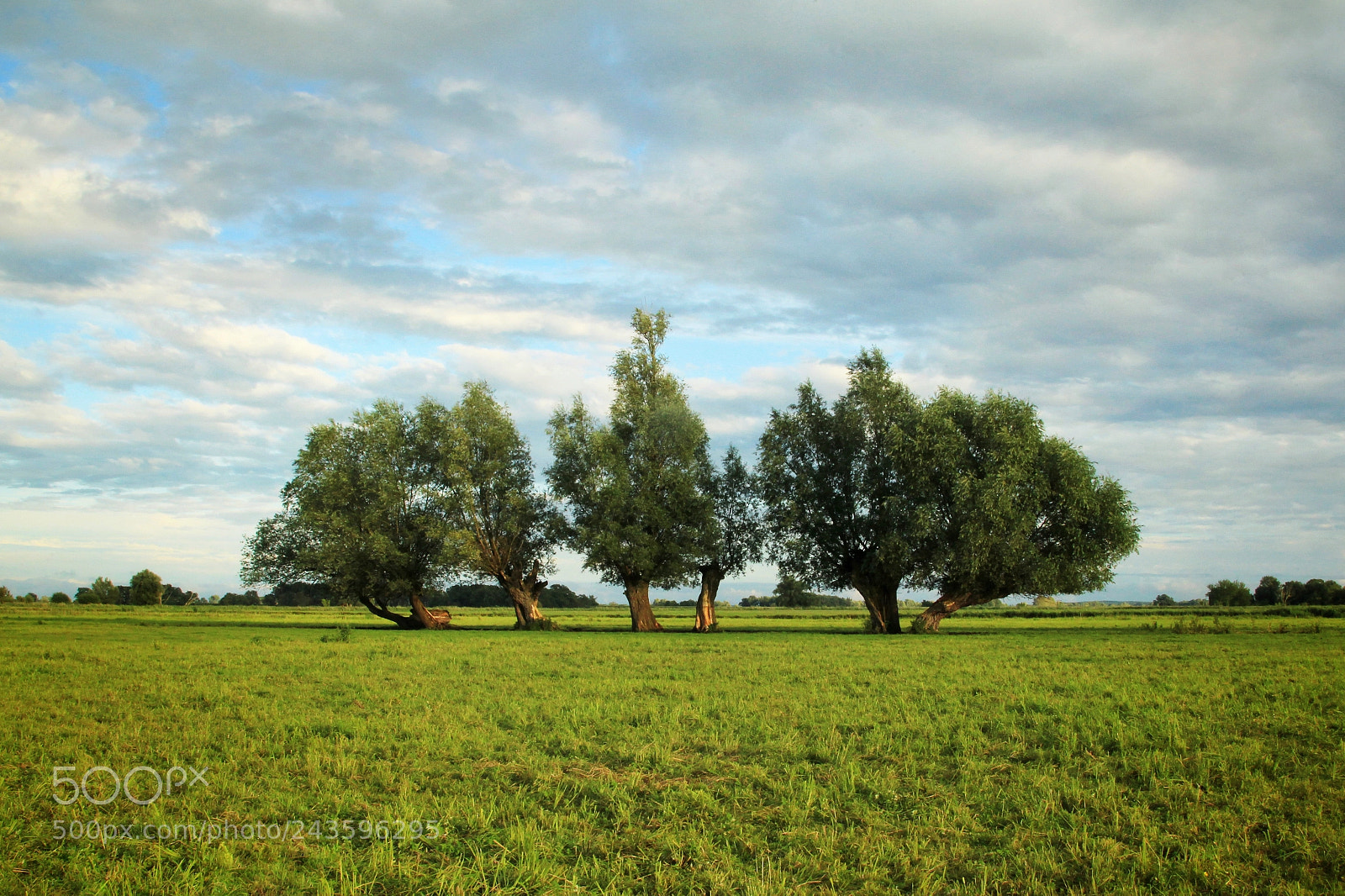 Canon EOS-1D Mark IV sample photo. Untitled photography