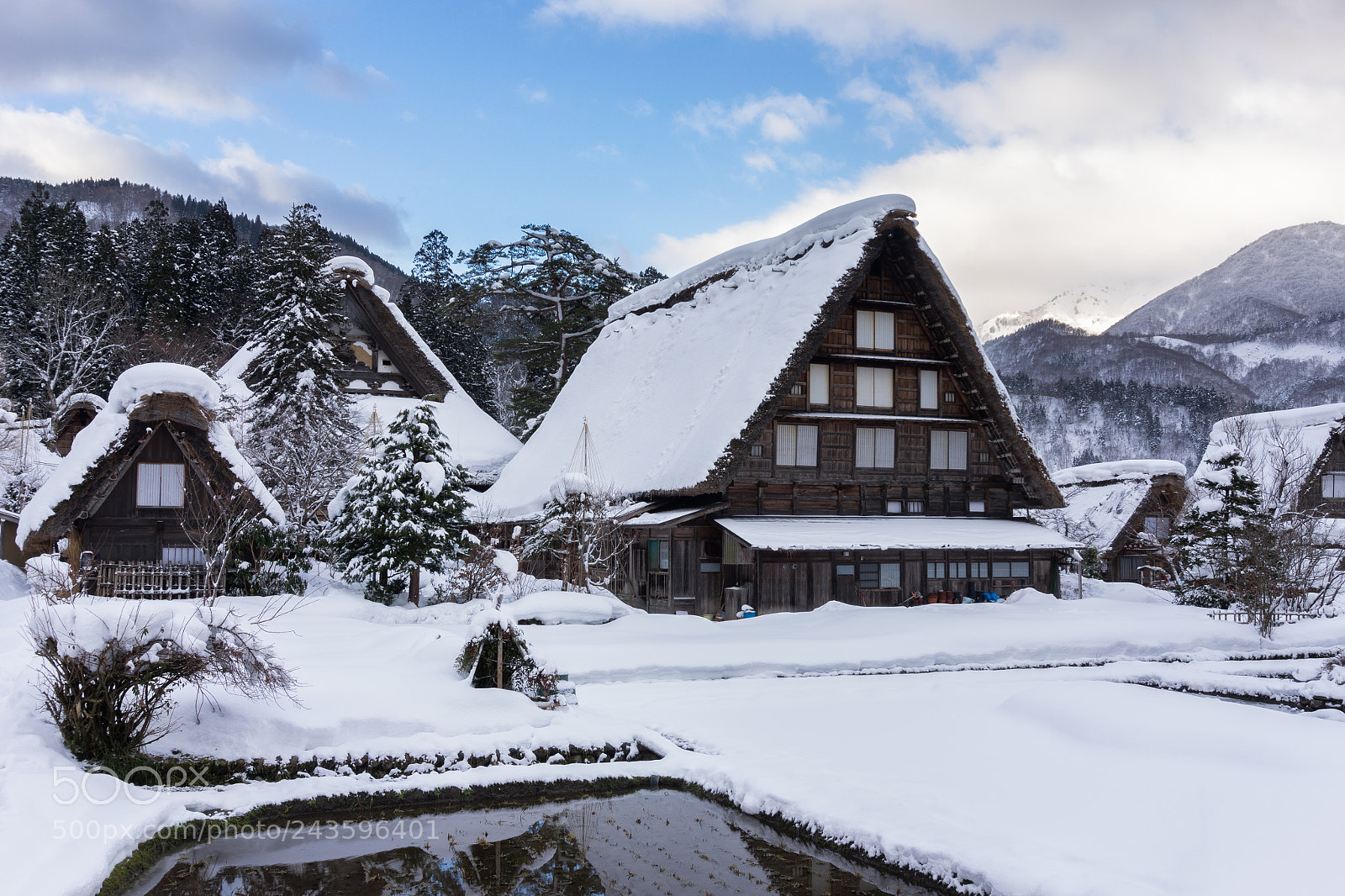 Sony a7R sample photo. Waiting out winter in photography