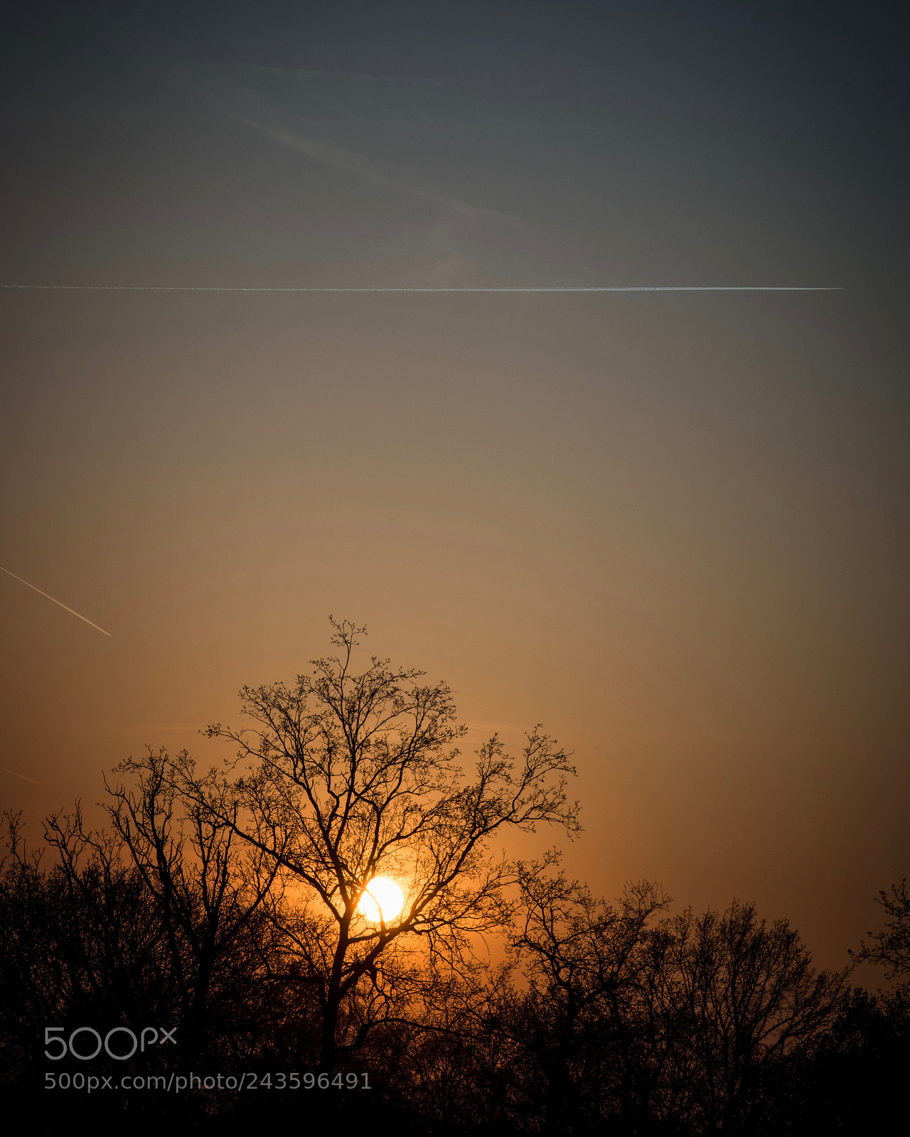 Nikon D5600 sample photo. Sunset photography