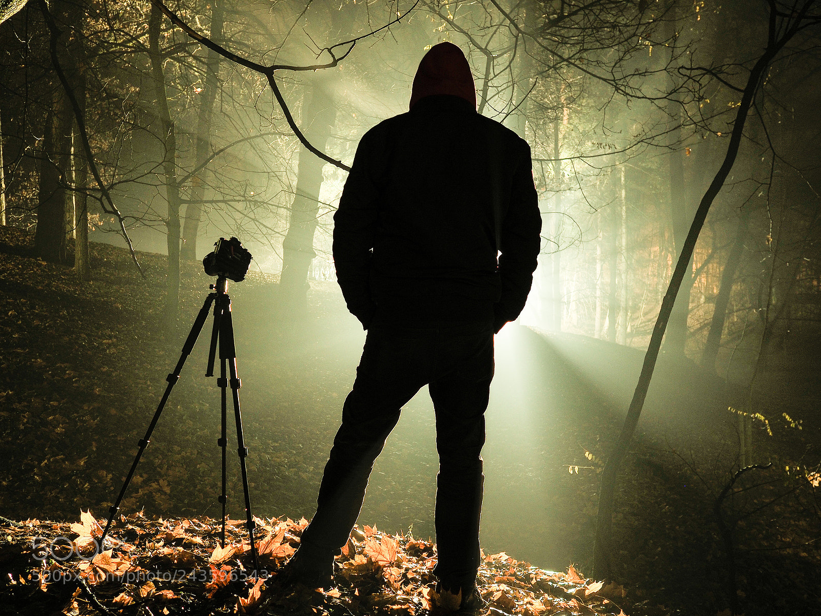 Olympus OM-D E-M10 sample photo. Photographing the light photography