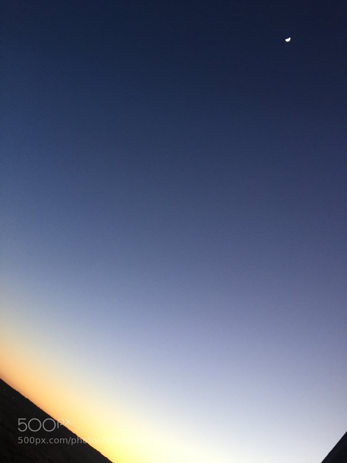 Apple iPhone 6 sample photo. Cow jumped over the photography