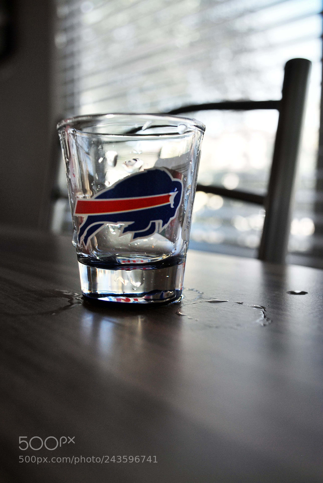 Nikon D60 sample photo. Buffalo bills photography