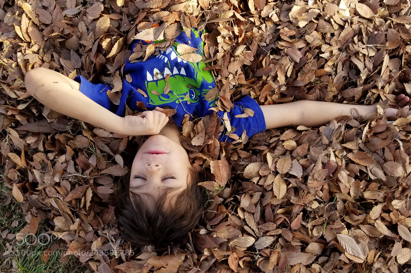 Samsung Galaxy S8 sample photo. 20180115_210709.jpg photography