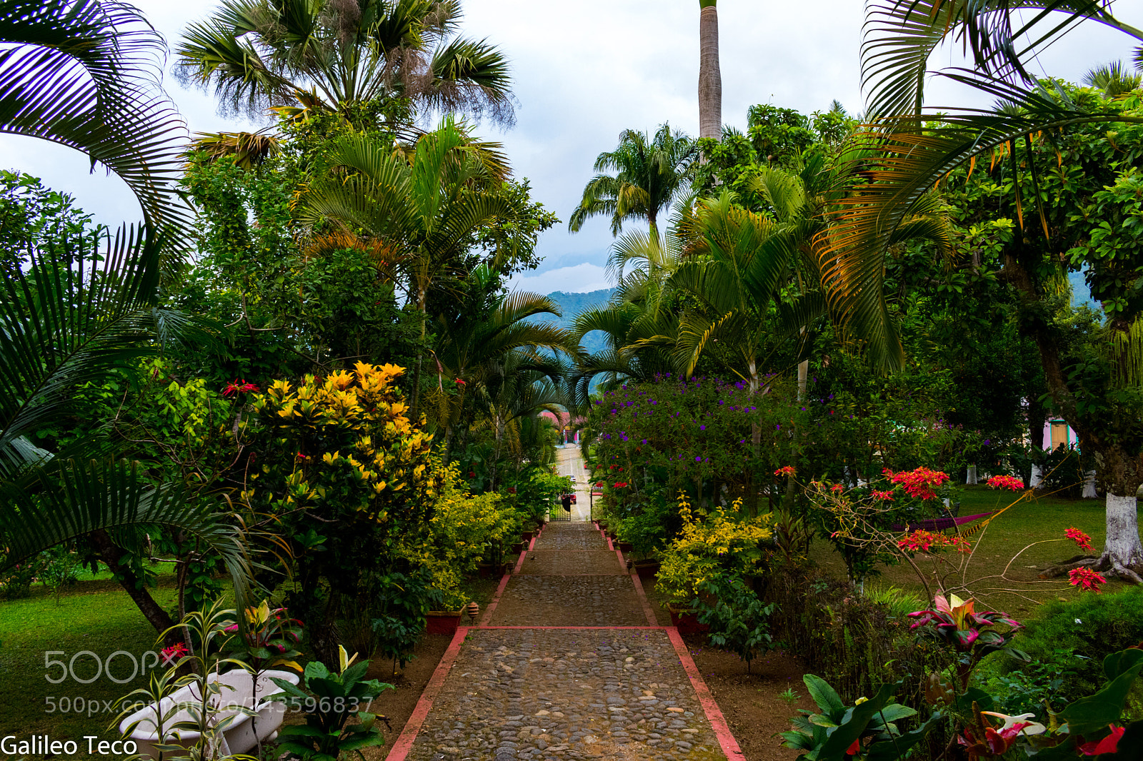 Nikon D3400 sample photo. Casa grande photography