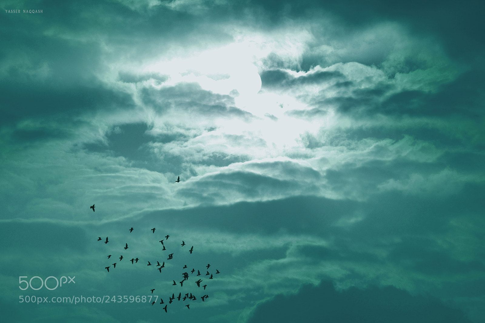 Nikon D7100 sample photo. Free spirit photography