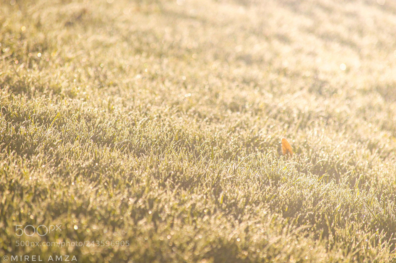 Nikon D3200 sample photo. Untitled photography