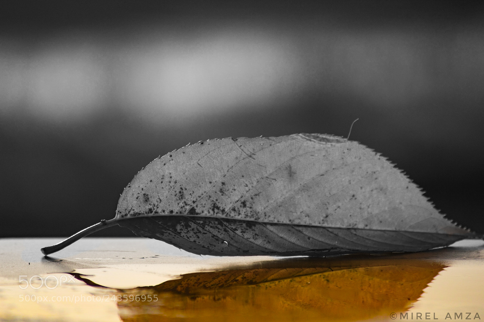 Nikon D3200 sample photo. Untitled photography