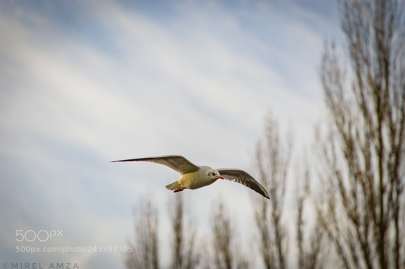 Nikon D3200 sample photo. Untitled photography