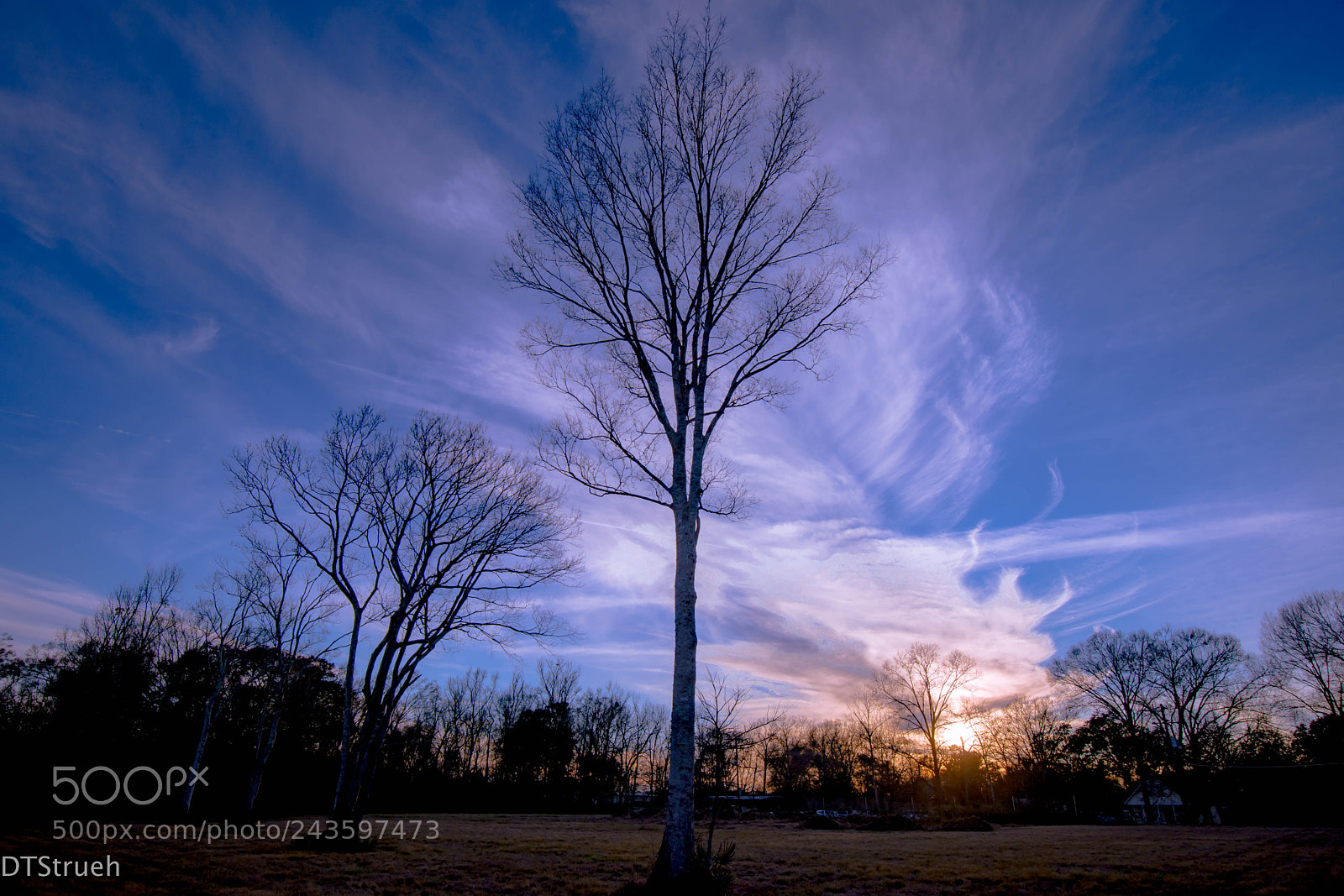 Nikon D7200 sample photo. January sunset ix photography