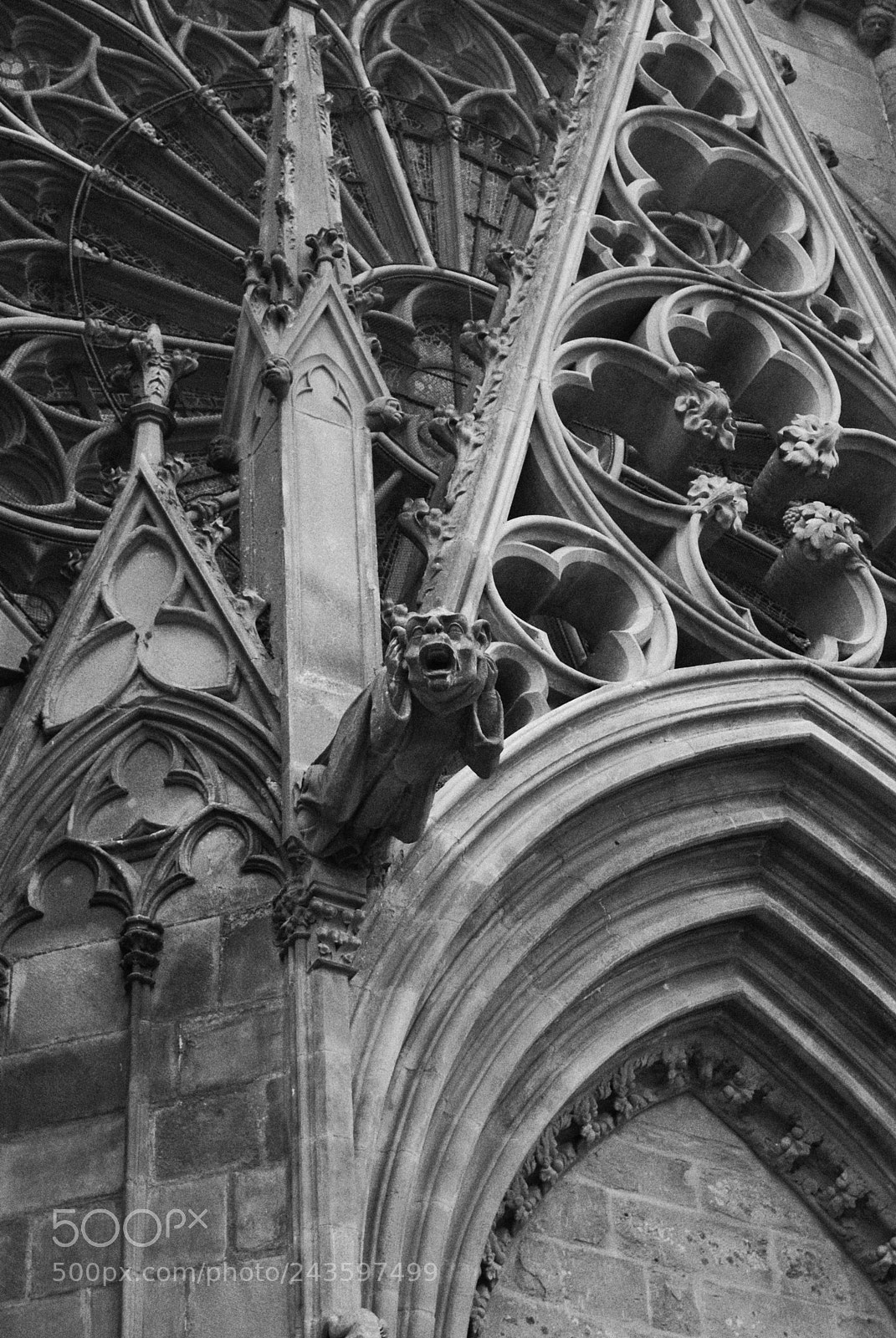 Nikon D60 sample photo. Carcassonne photography