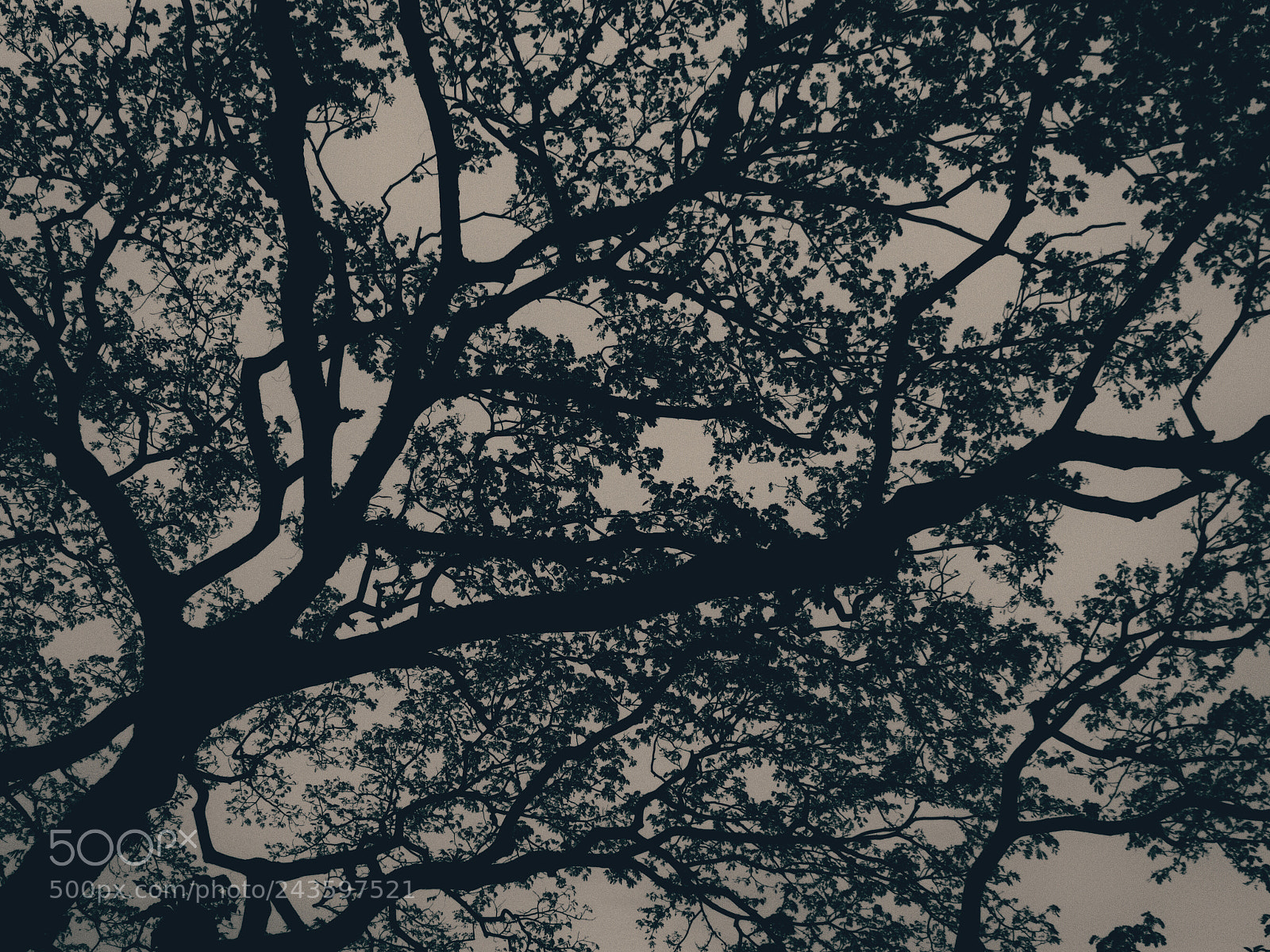 Nikon D7200 sample photo. Untitled photography
