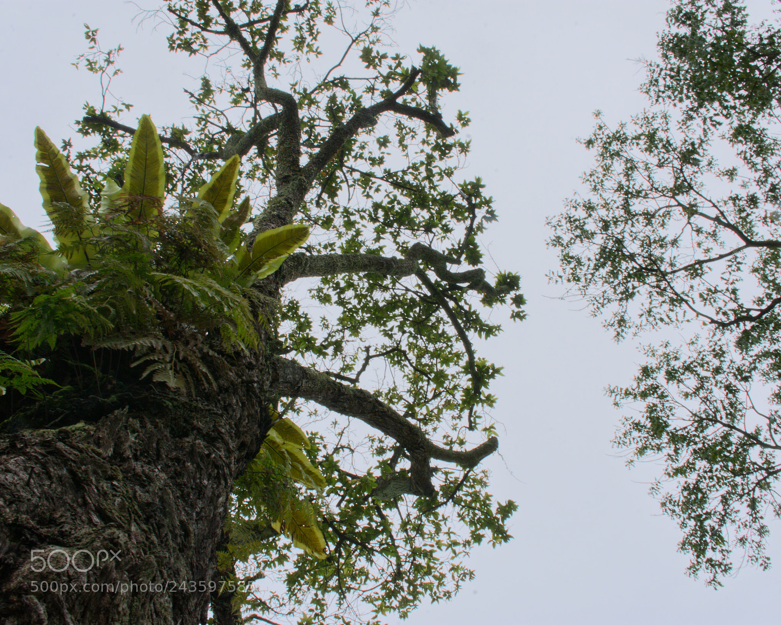 Nikon D7200 sample photo. Untitled photography