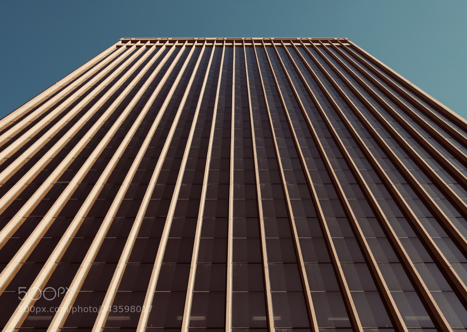Fujifilm X-E3 sample photo. Vertical photography