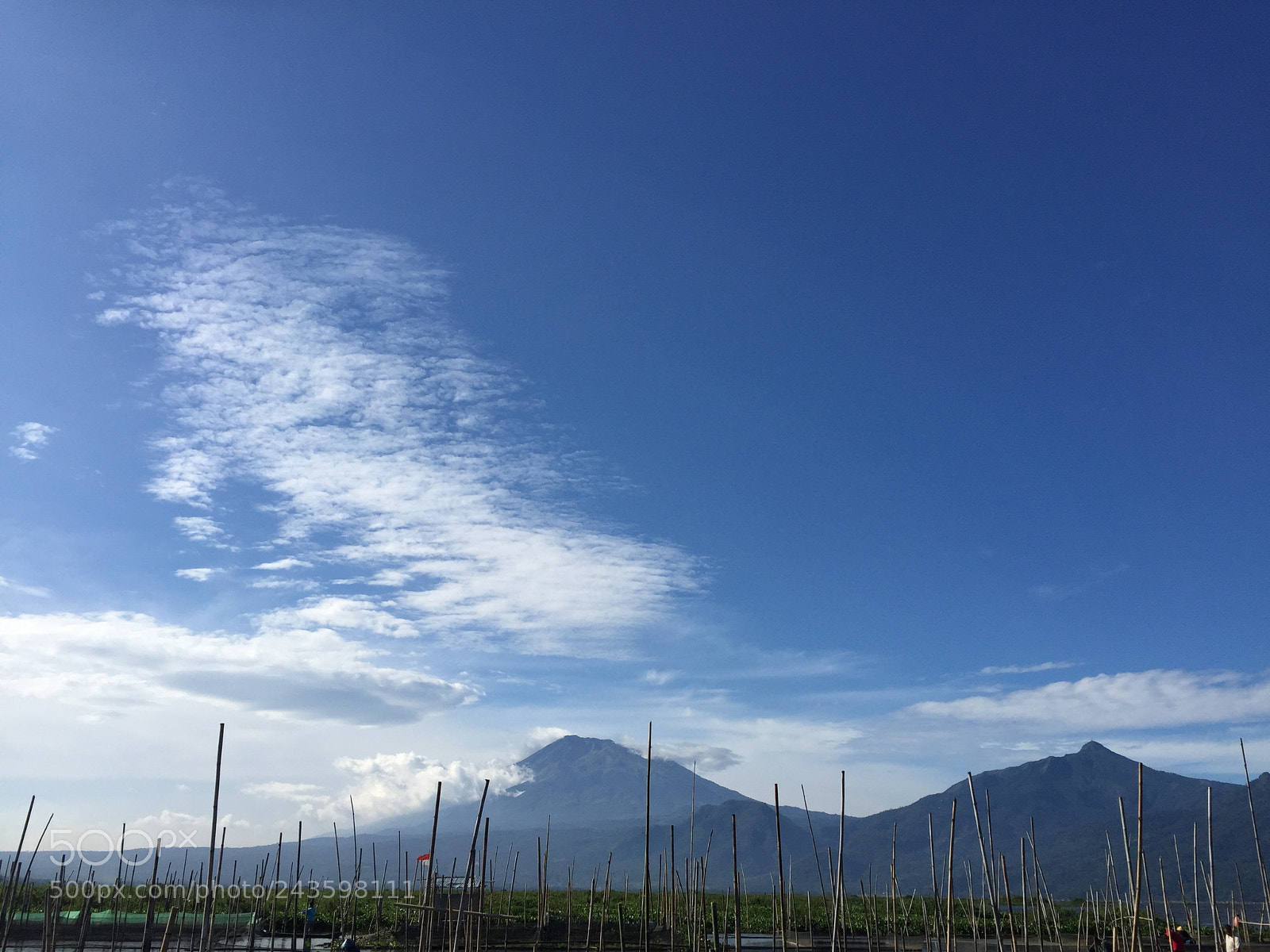 Apple iPhone 6 sample photo. Daylight ? photography