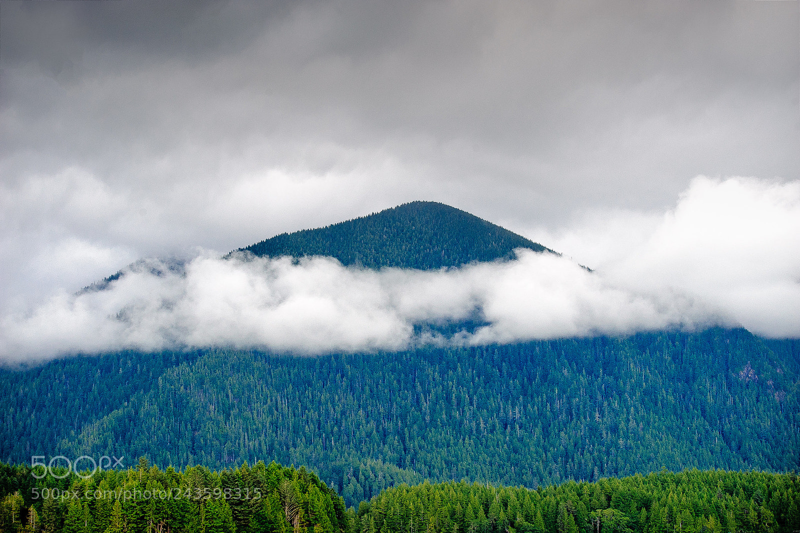 Nikon D3 sample photo. Lone cone mountain photography