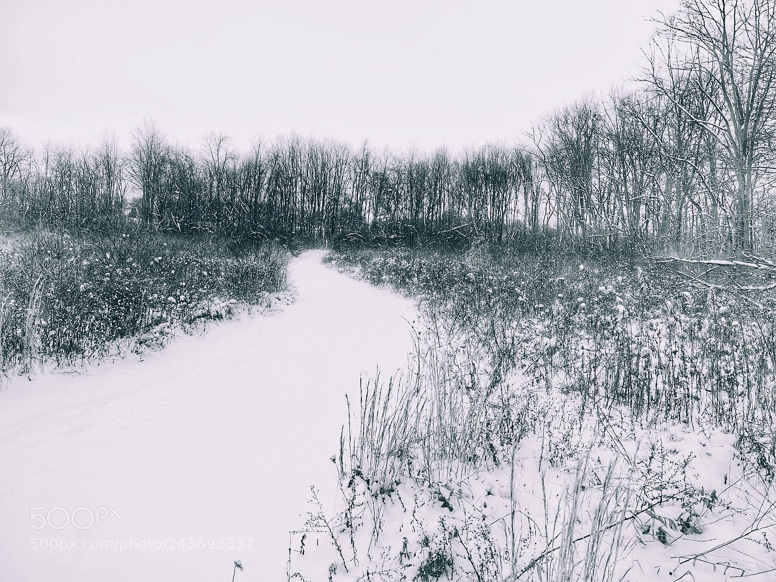 Olympus PEN-F sample photo. Snow trail photography