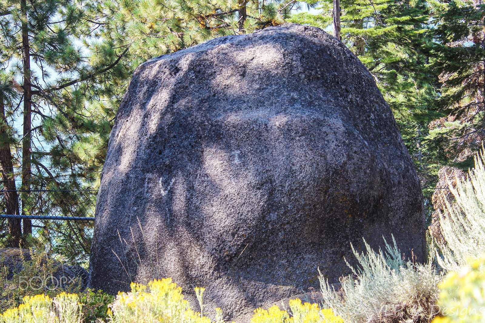 Canon EOS 1200D (EOS Rebel T5 / EOS Kiss X70 / EOS Hi) sample photo. Bear rock photography