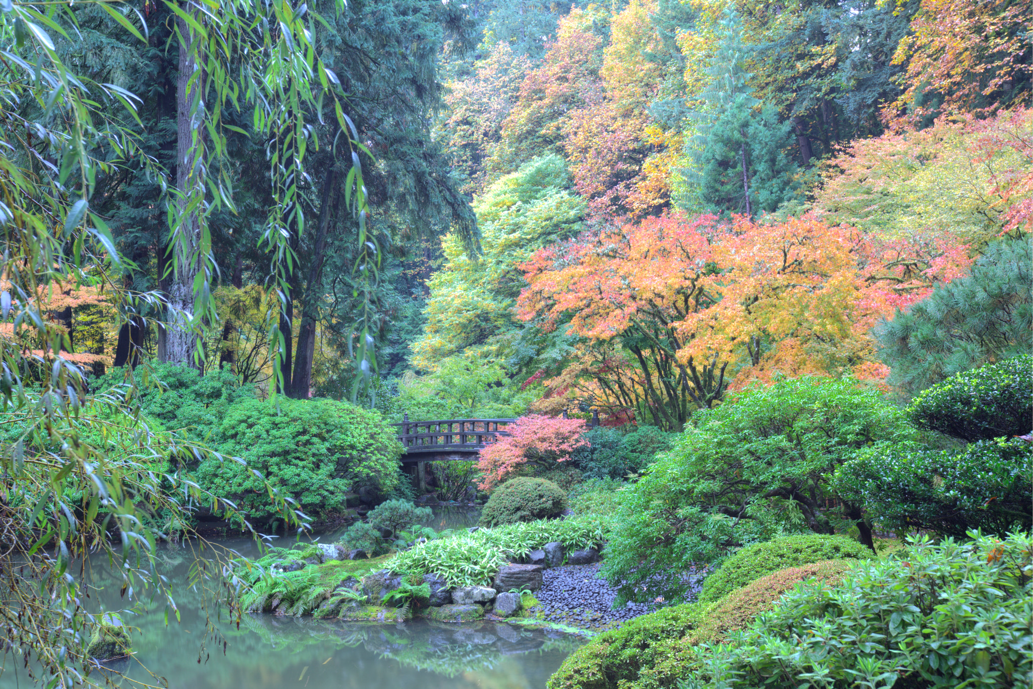 Canon EF 16-35mm F2.8L II USM sample photo. Japanese garden fall colors photography