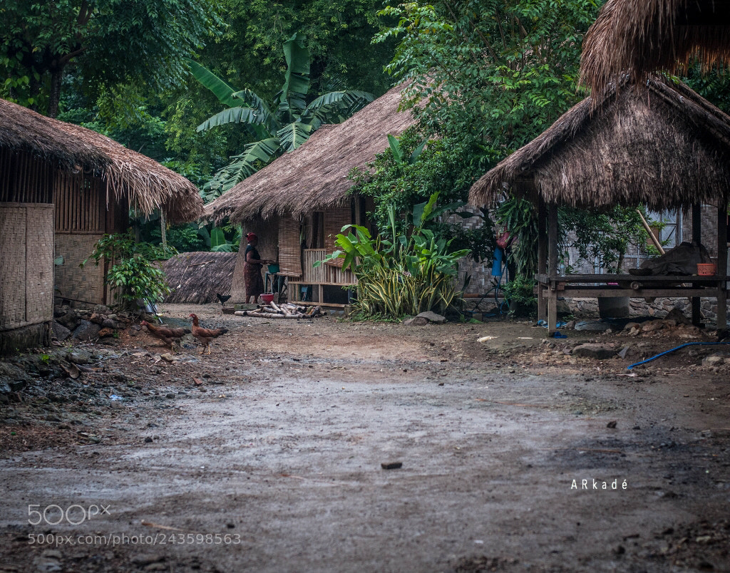 Nikon D300 sample photo. In the ende village photography