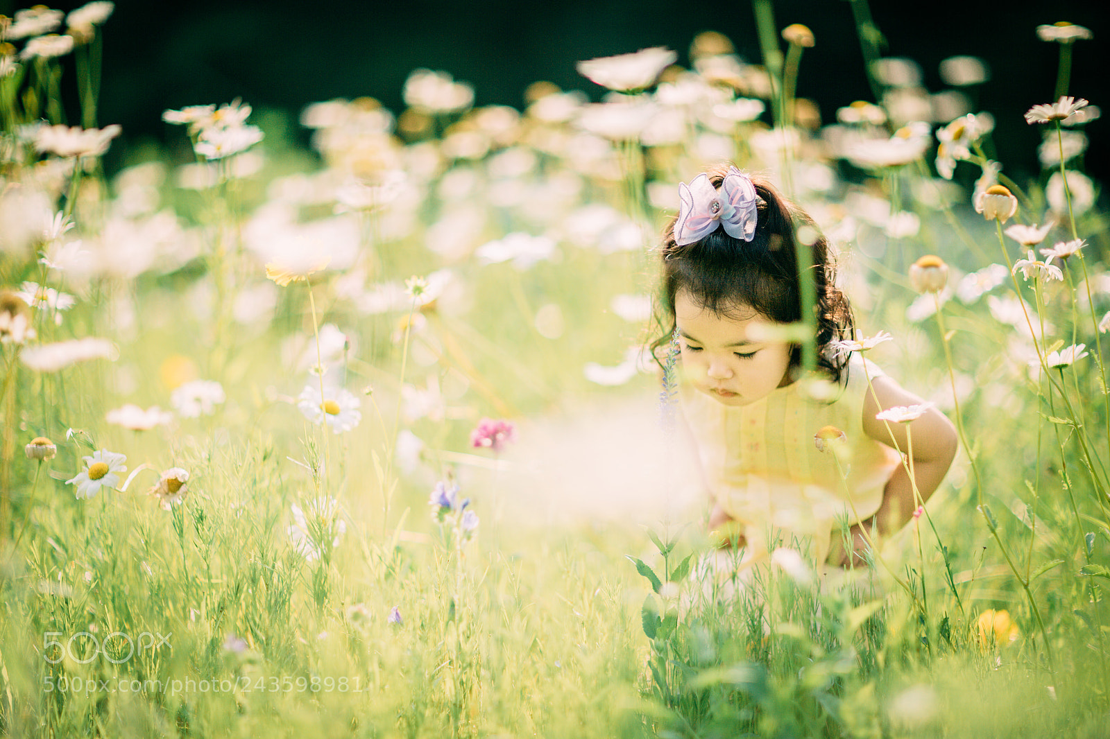 Canon EOS-1D X sample photo. She looked down and photography