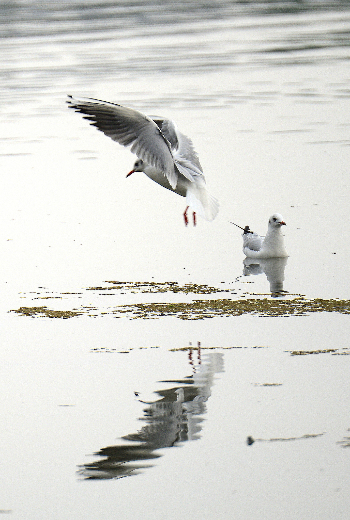 Nikon D800 sample photo