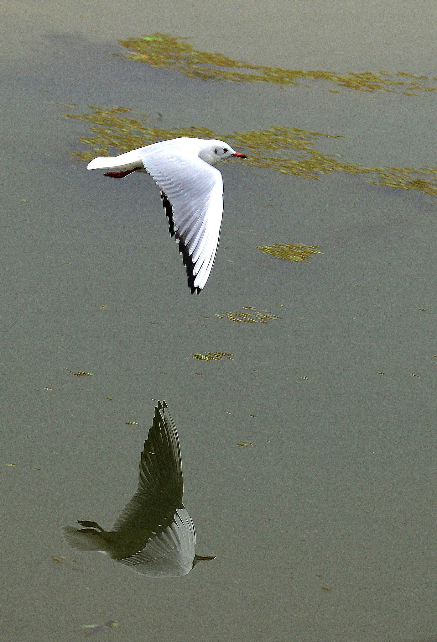 Nikon D800 sample photo