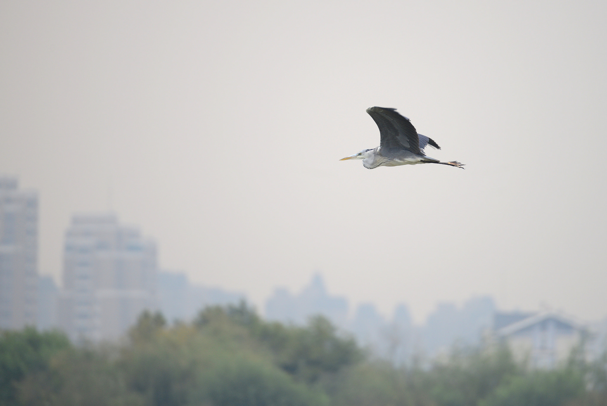 Nikon D800 sample photo
