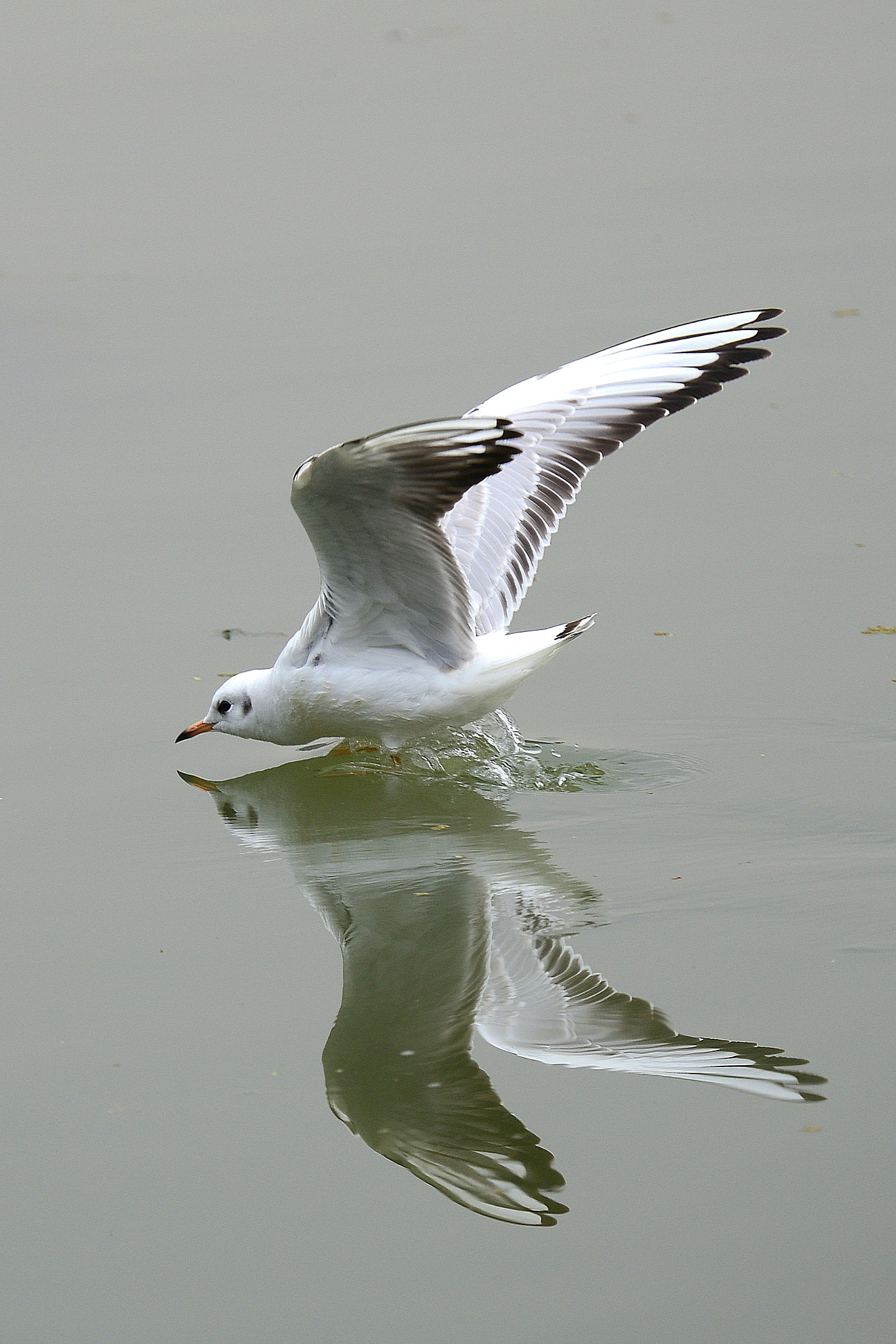 Nikon D800 sample photo