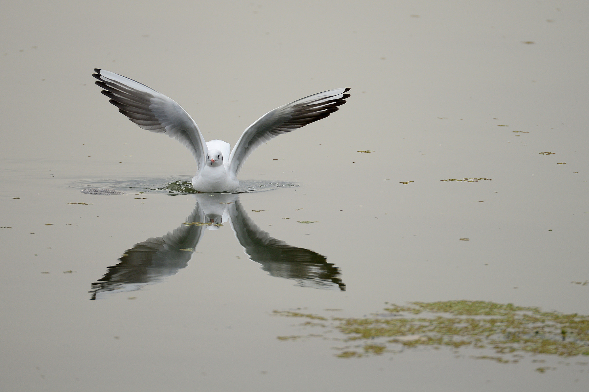 Nikon D800 sample photo