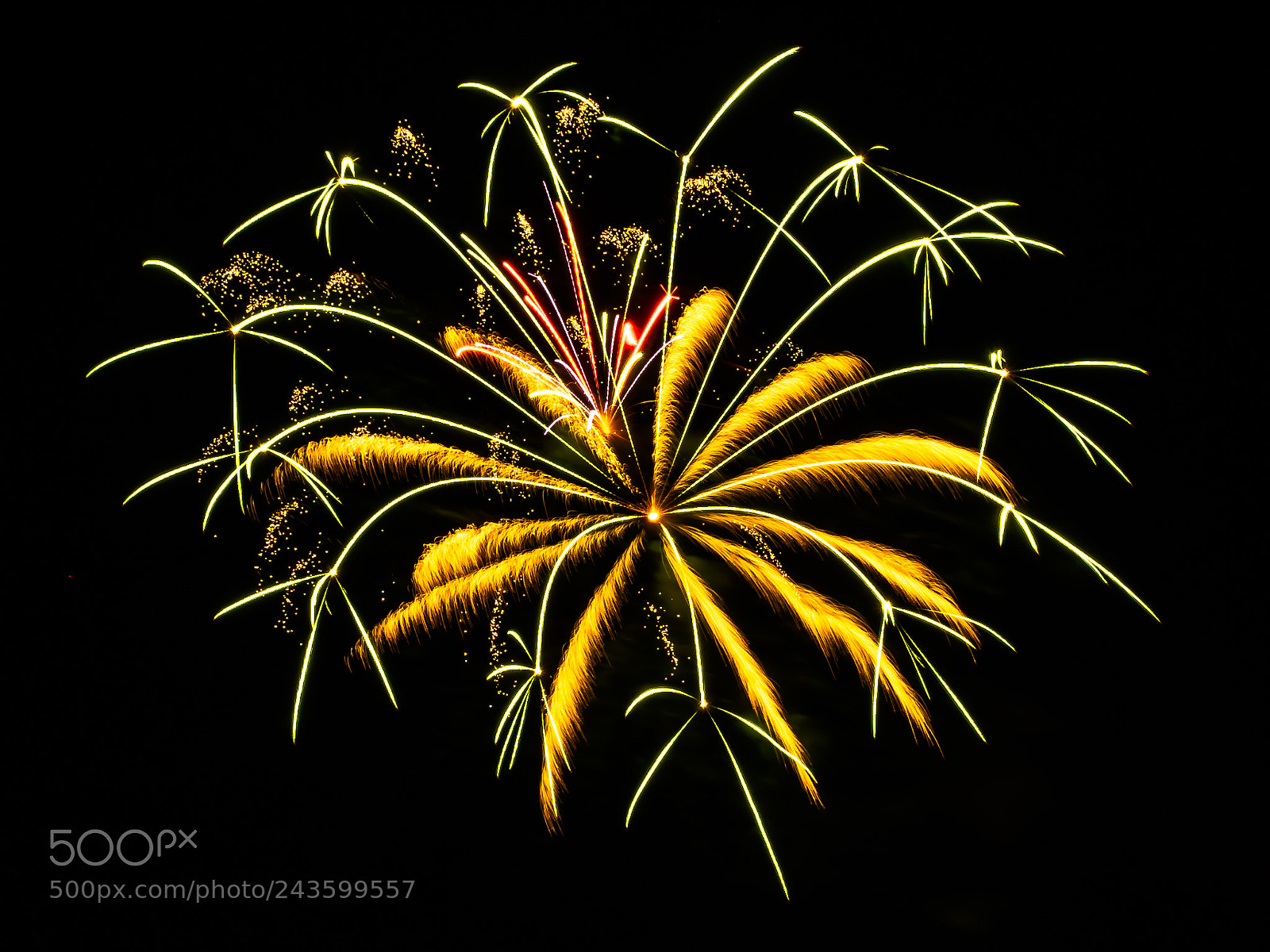 Nikon D500 sample photo. Fireworks photography