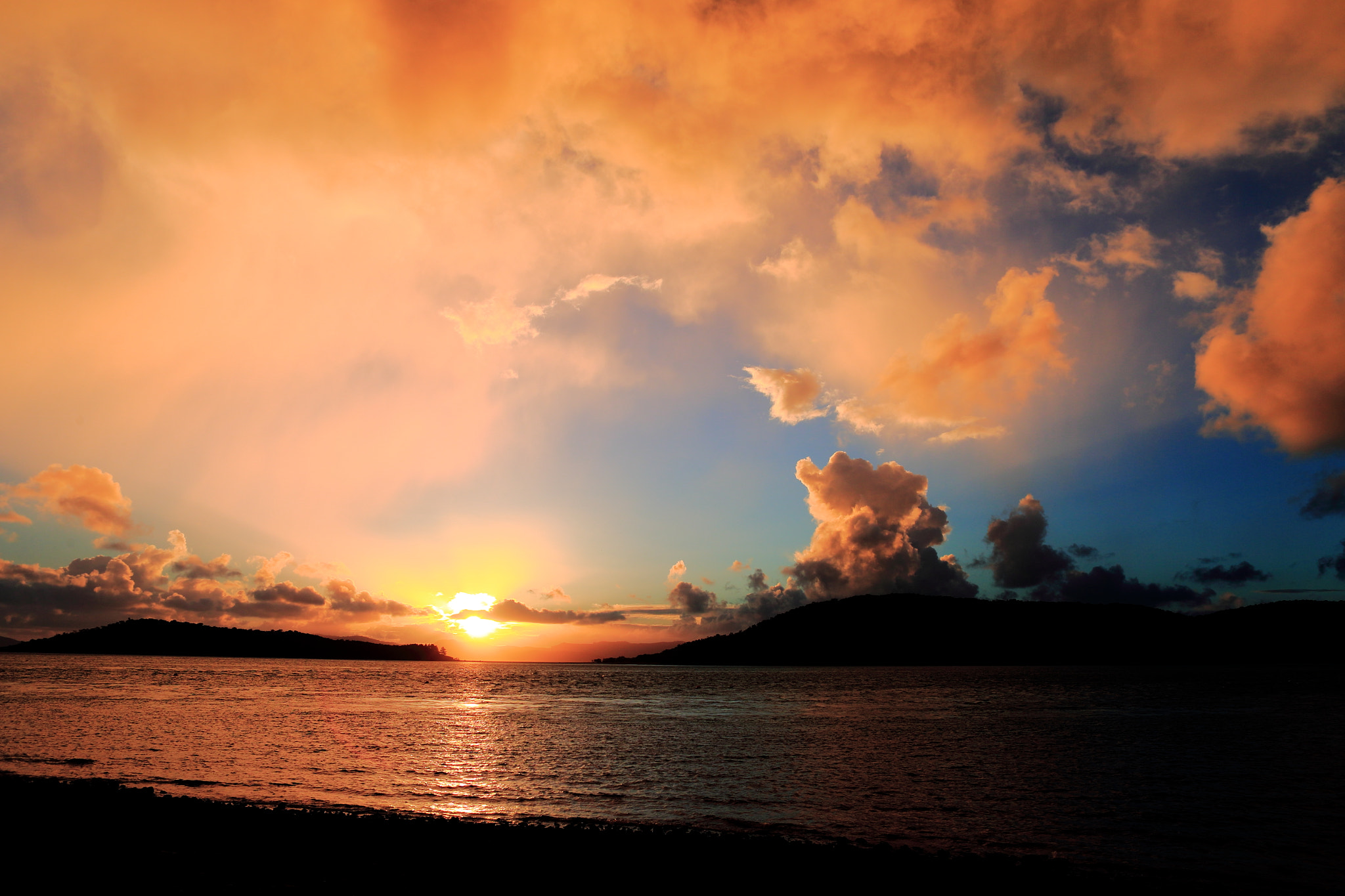 Canon EOS-1D X sample photo. Afy photography