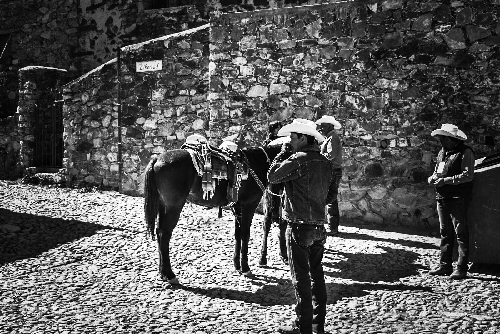 Nikon D5500 sample photo. Caballs y vaqueros photography