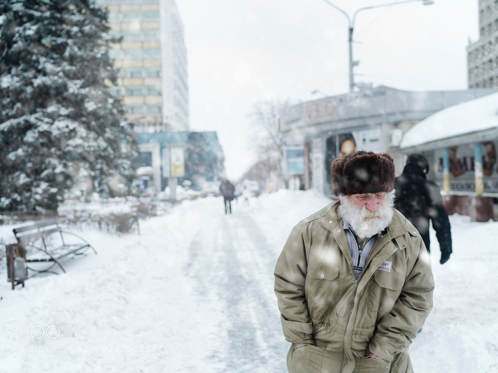 Sony a7R II sample photo. 253/365 photography