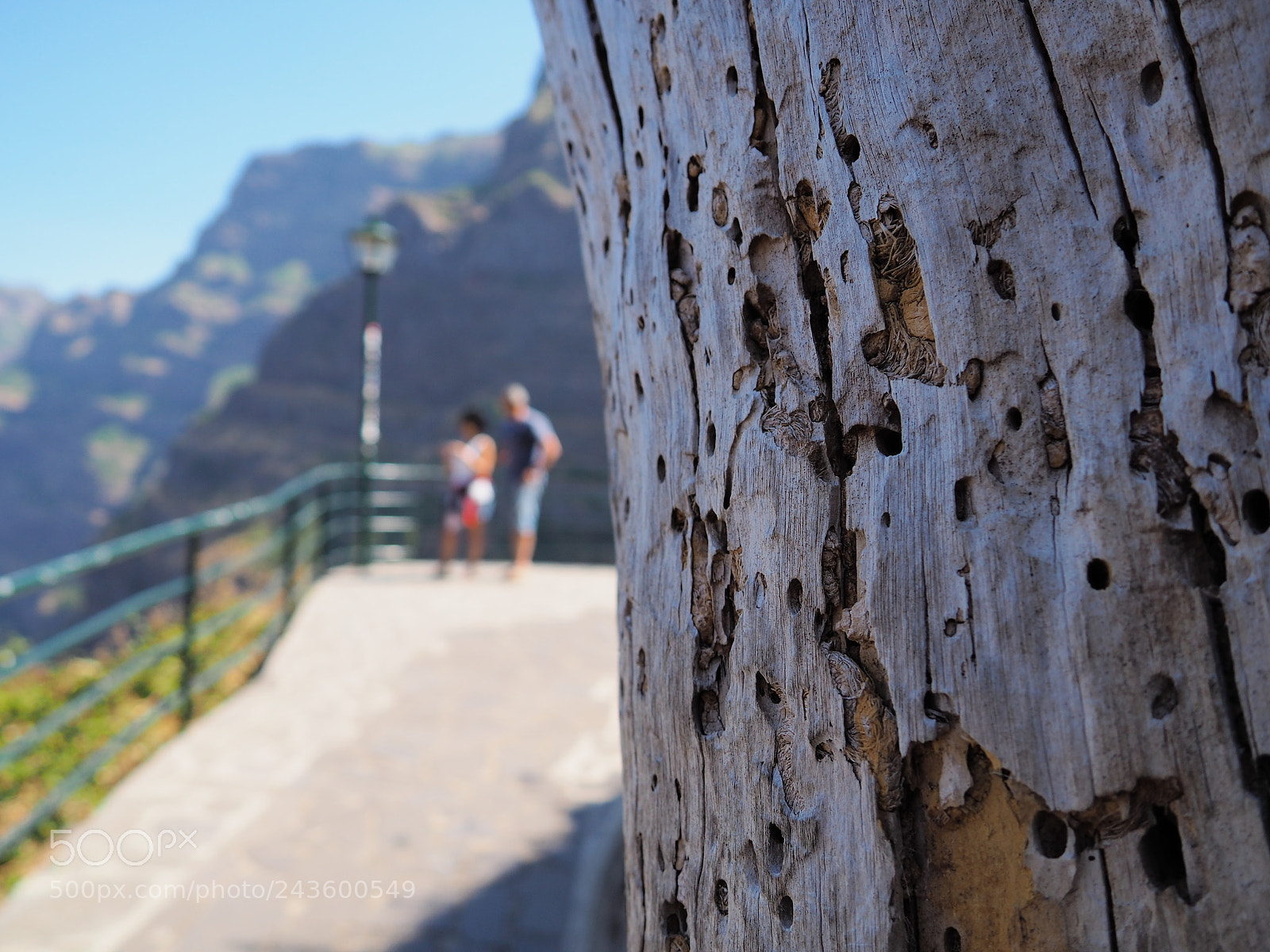 Olympus OM-D E-M10 II sample photo. Old log photography