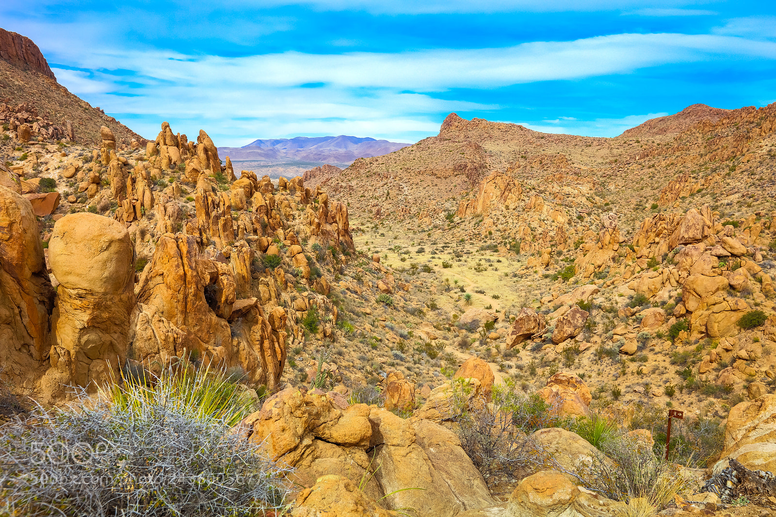 Canon EOS 5DS R sample photo. Untitled photography